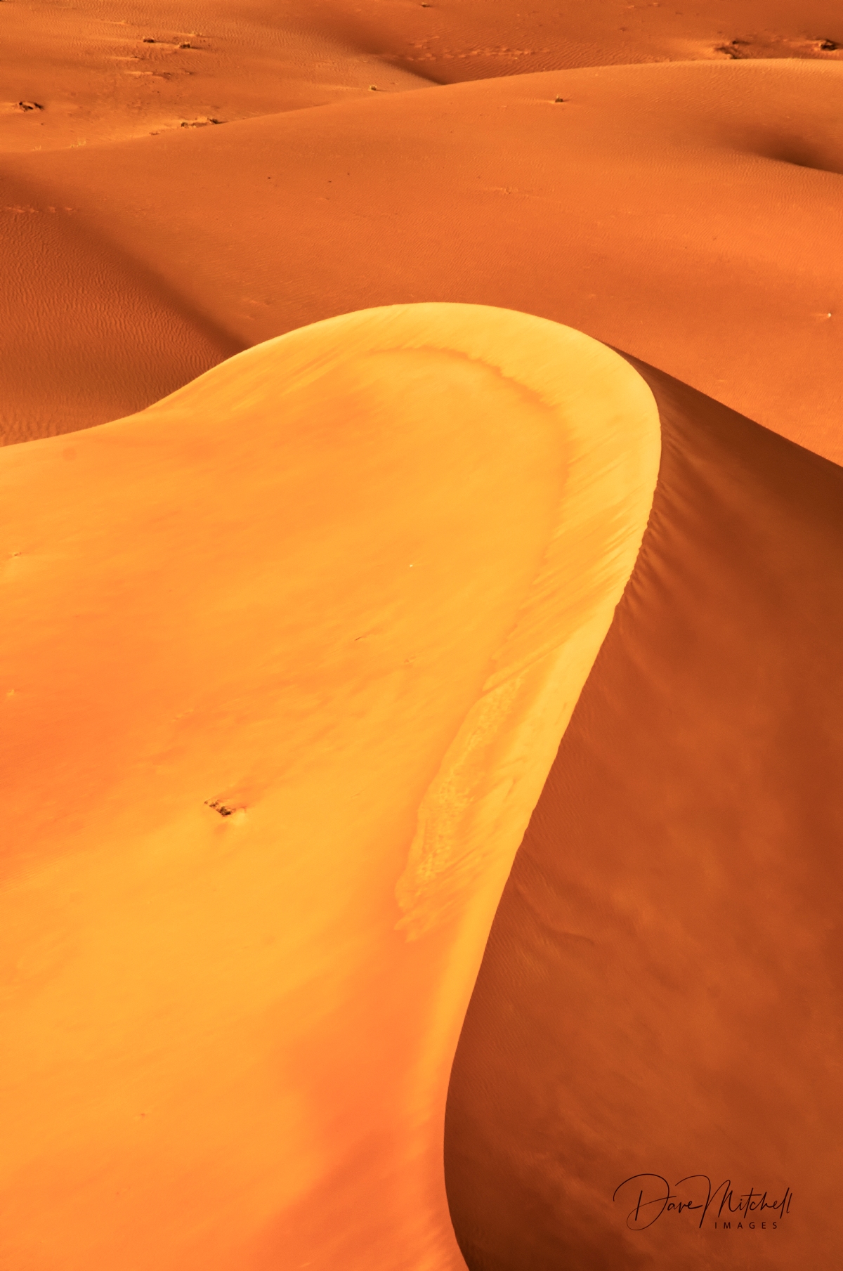 Red Dunes ... Al Ain ... UAE.